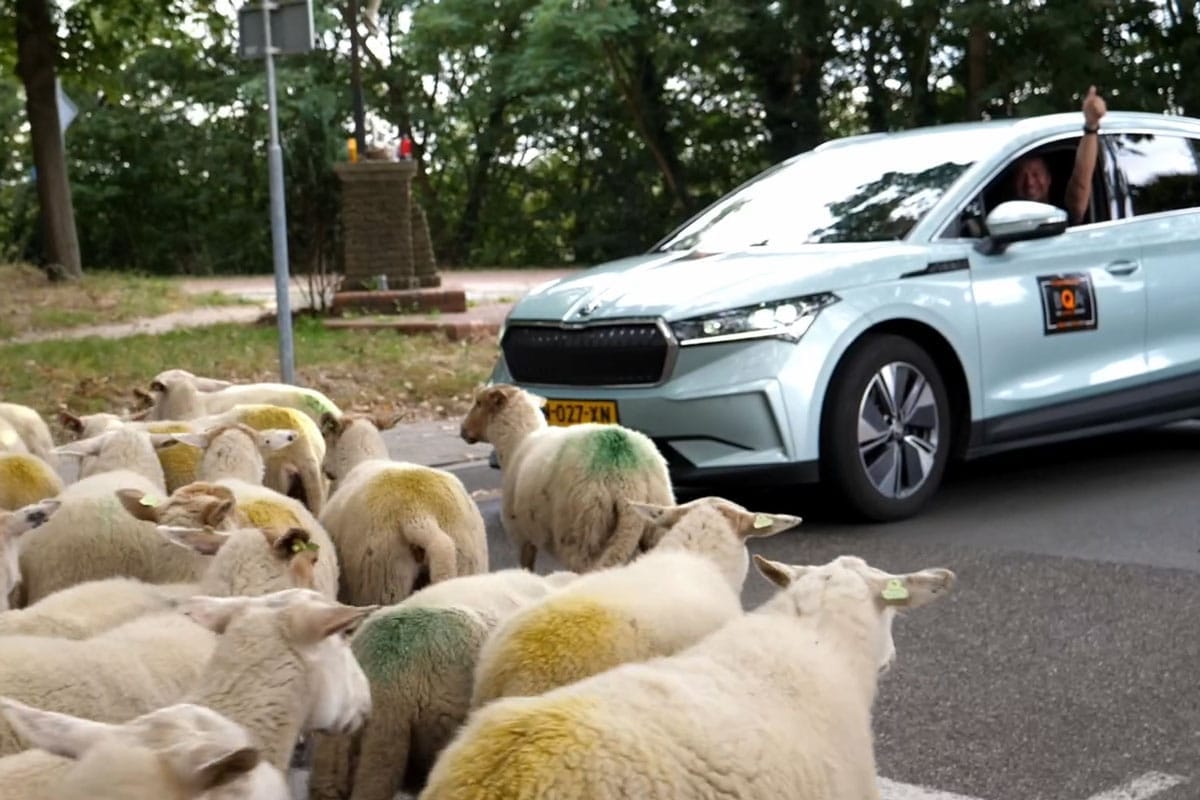 BQA_EV_Challenge_2025